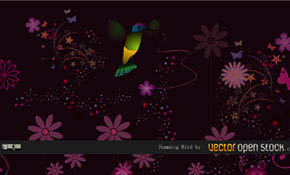 Humming Bird